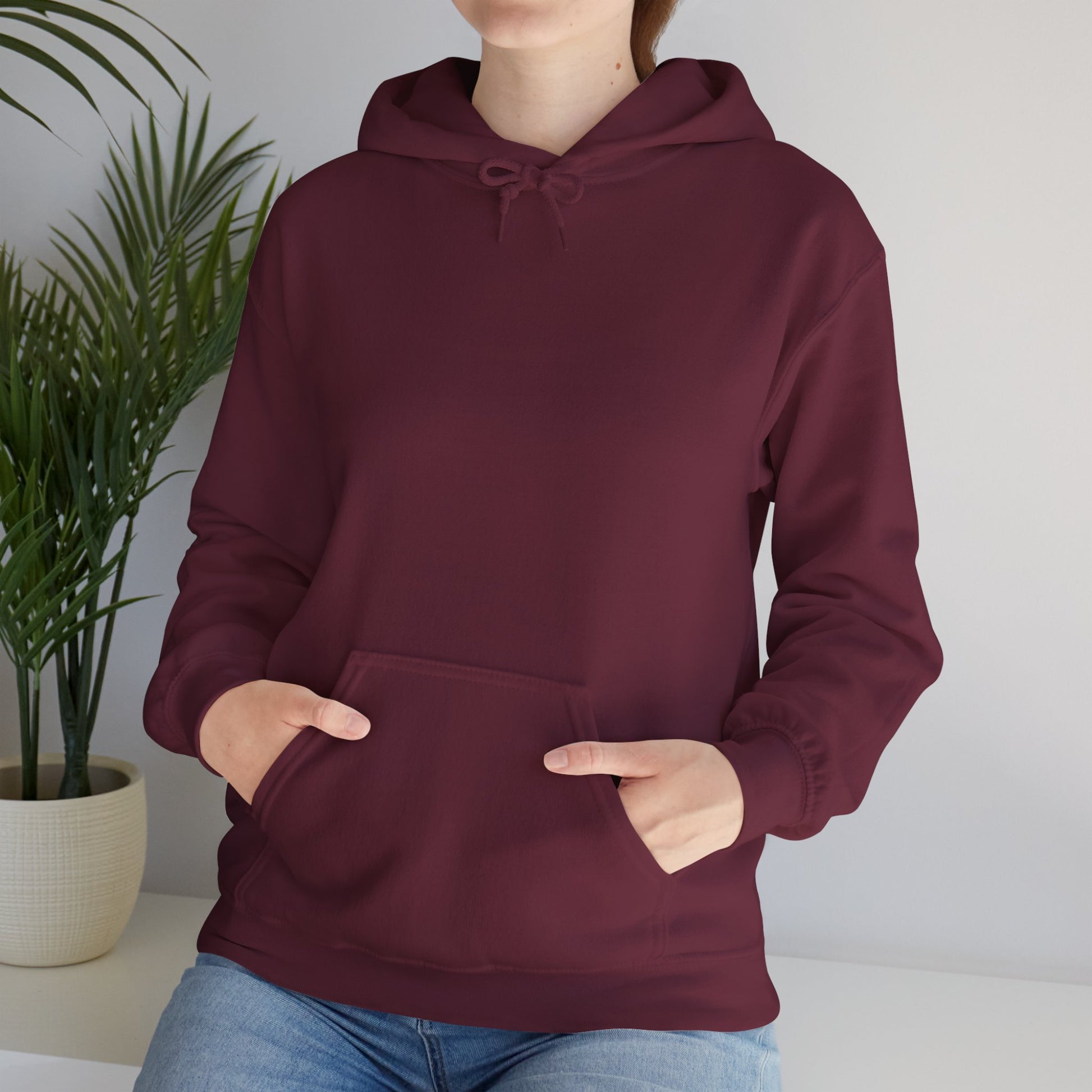 Centaur Archer Hoodie — Mythical Archer Graphic Pullover - Arya