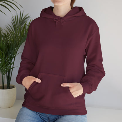 Centaur Archer Hoodie — Mythical Archer Graphic Pullover - Arya