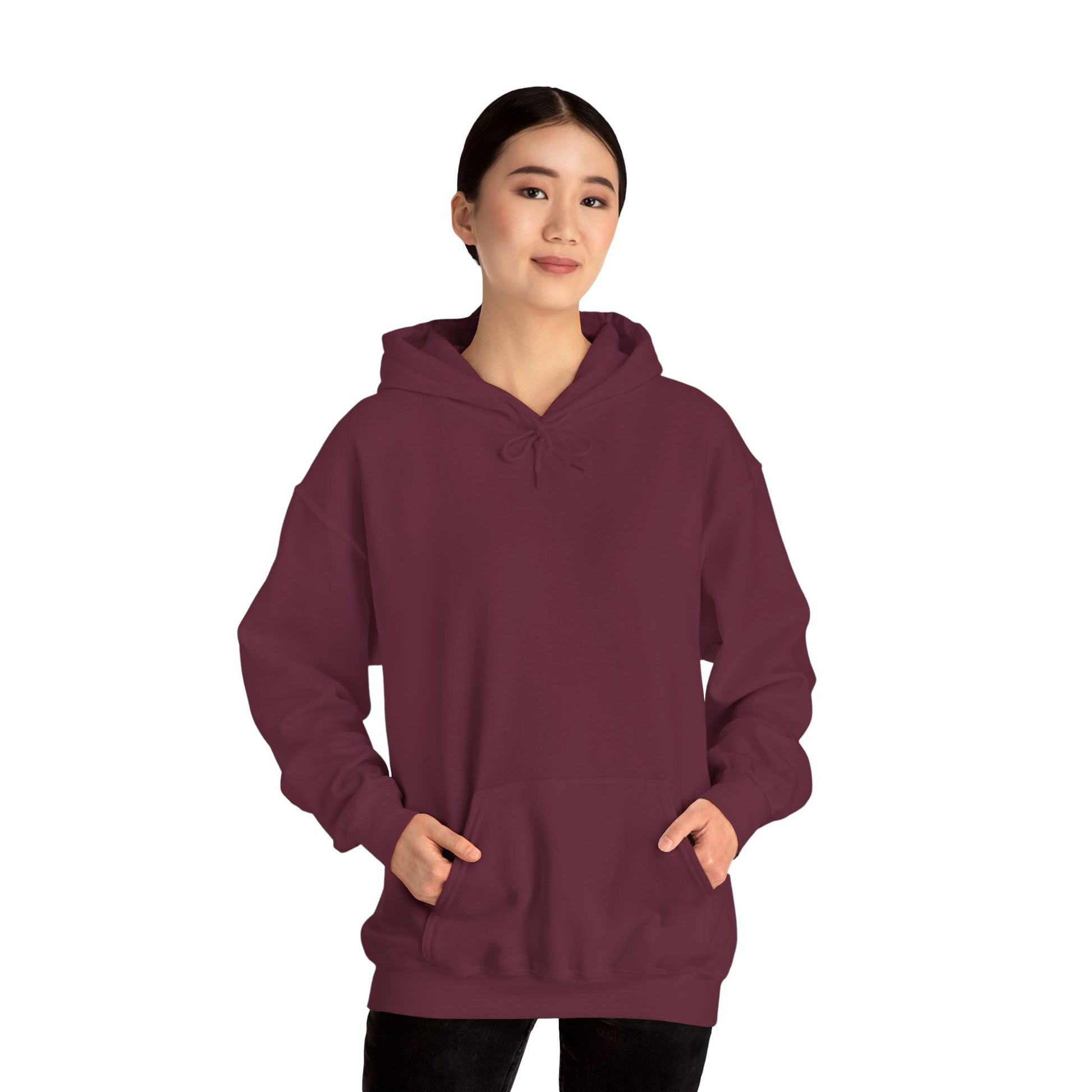 Centaur Archer Hoodie — Mythical Archer Graphic Pullover - Arya